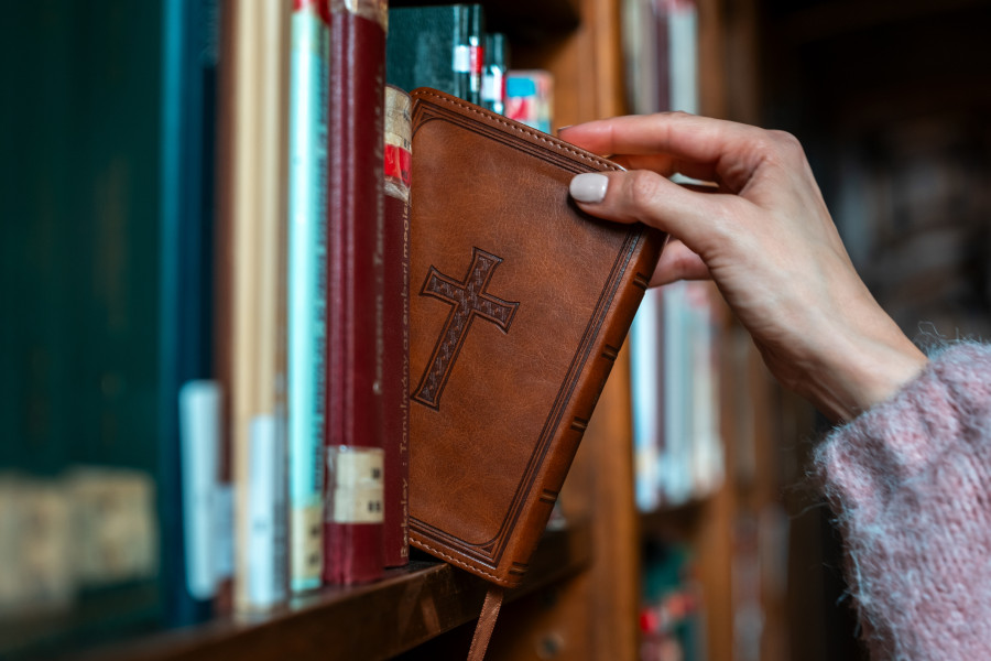 Der Bestseller: Die Bibel